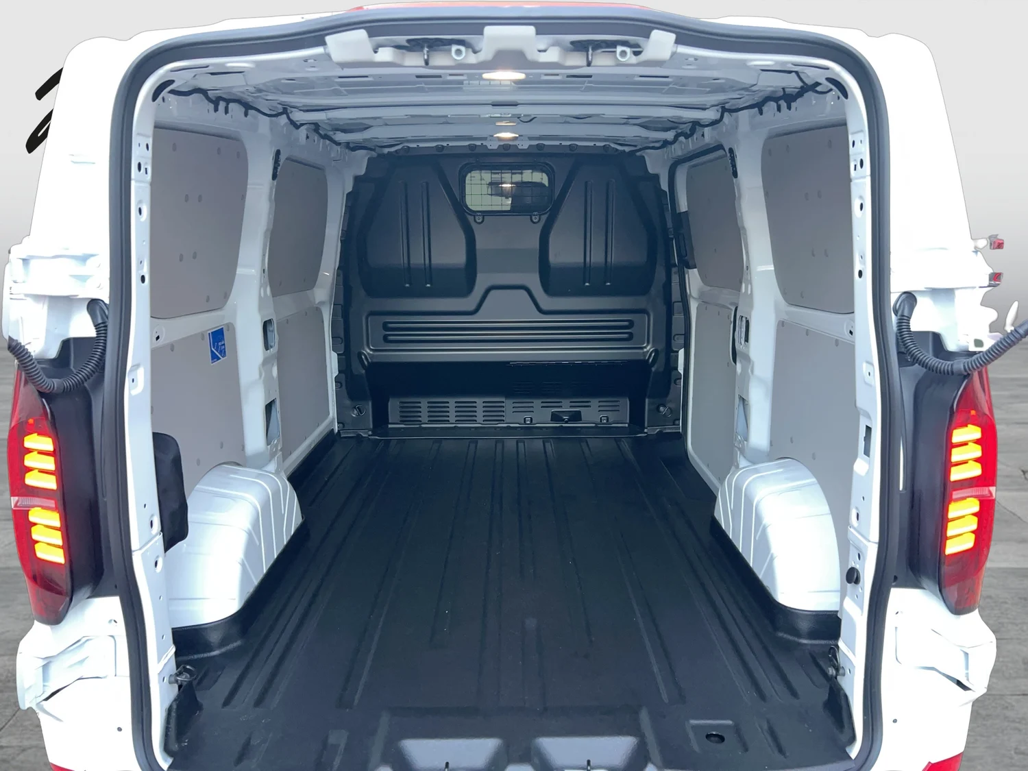 Bild eines e-Transporter Kastenwagen 100 kW