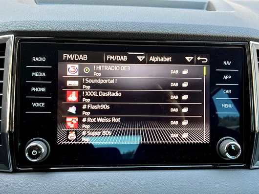 Bild eines Škoda Karoq 4x4 Selection TDI DSG
