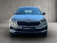 Škoda Karoq 4x4 Selection TDI DSG in Stahl-Grau