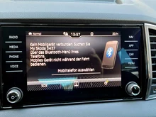 Škoda Karoq 4x4 Selection TDI DSG in Stahl-Grau