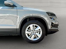 Škoda Karoq 4x4 Selection TDI DSG in Stahl-Grau