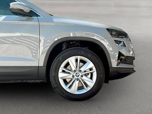 Bild eines Škoda Karoq 4x4 Selection TDI DSG