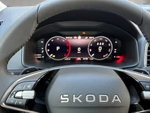 Škoda Karoq 4x4 Selection TDI DSG in Stahl-Grau