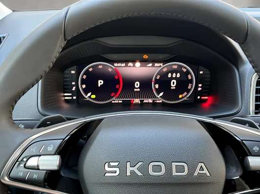 Bild eines Škoda Karoq 4x4 Selection TDI DSG