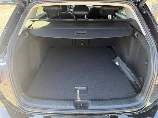 Bild eines Golf Variant Business TDI DSG