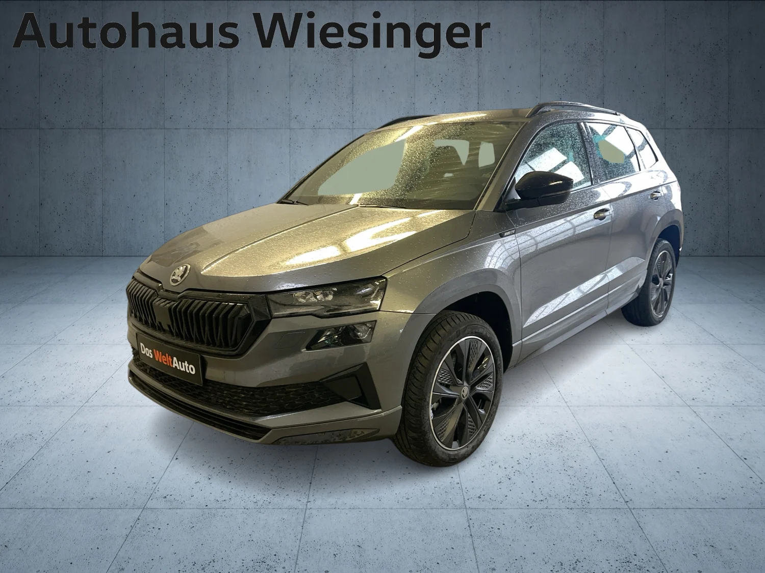 Bild eines Karoq Sportline TDI