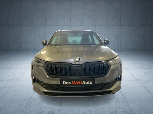 Bild eines Karoq Sportline TDI