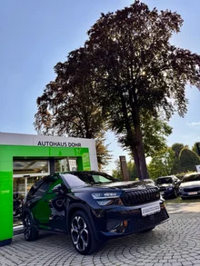 Škoda Kodiaq RS 4x4 TSI DSG in Black-Magic Perleffekt
