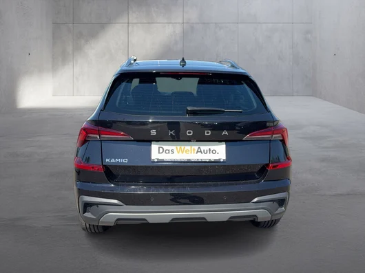 Bild eines Škoda Kamiq Selection TSI DSG