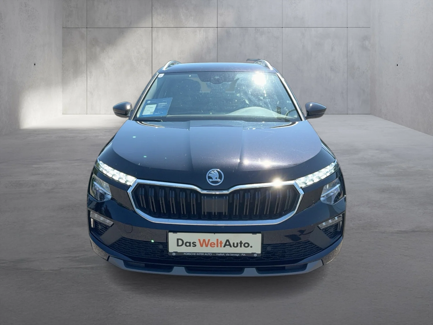 Bild eines Škoda Kamiq Selection TSI DSG