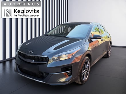 Kia Xceed 1,5 TGDI GPF Silber