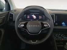 Škoda Karoq 4x4 Selection TDI DSG in Smokey Diamond-Silber Metallic