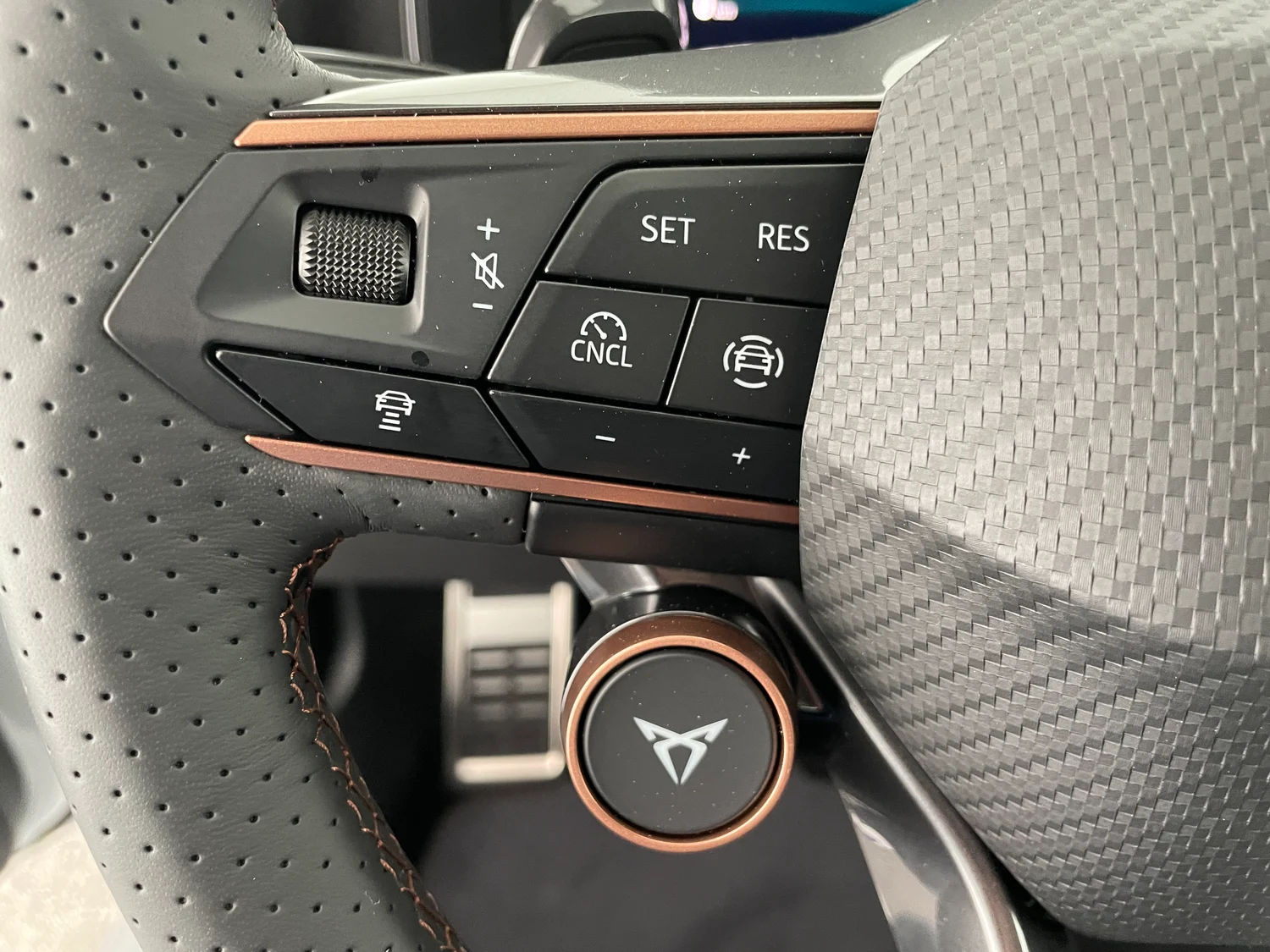 Bild eines CUPRA Leon 1.5 eTSI DSG