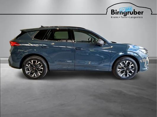 Bild eines Terramar e-HYBRID 204 PS DSG