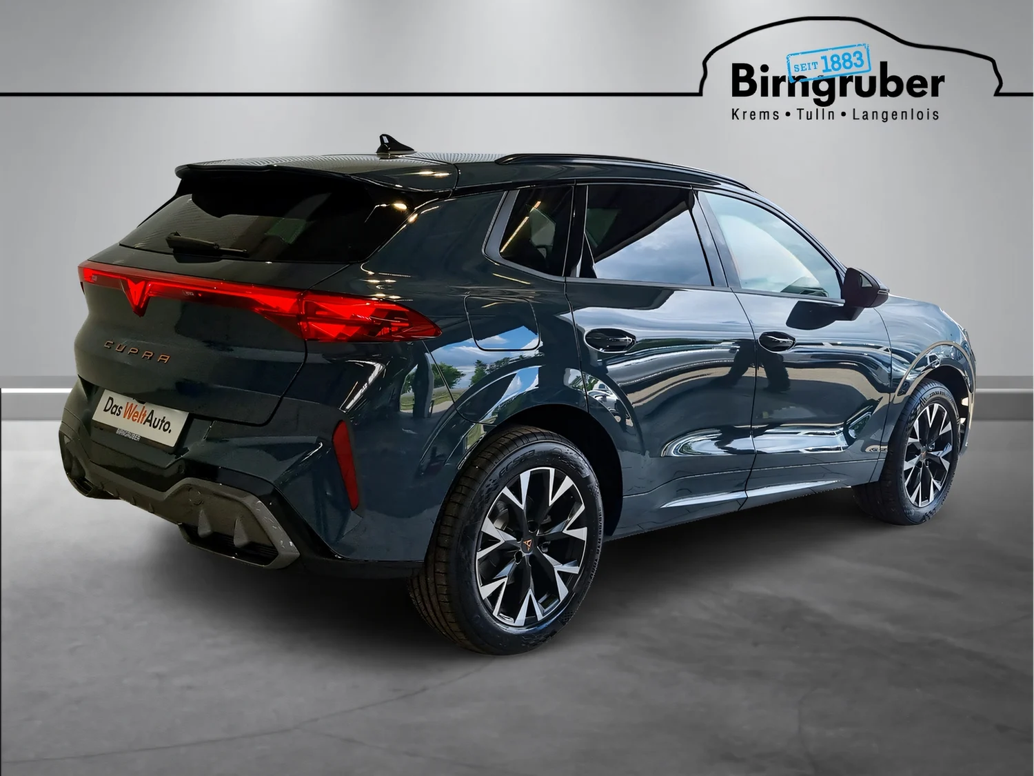 Bild eines Terramar e-HYBRID 204 PS DSG