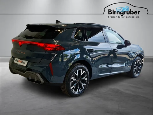Bild eines Terramar e-HYBRID 204 PS DSG