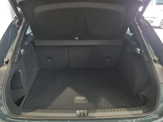 Bild eines Terramar e-HYBRID 204 PS DSG