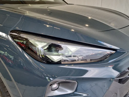 Bild eines Terramar e-HYBRID 204 PS DSG