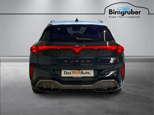 Bild eines Terramar e-HYBRID 204 PS DSG