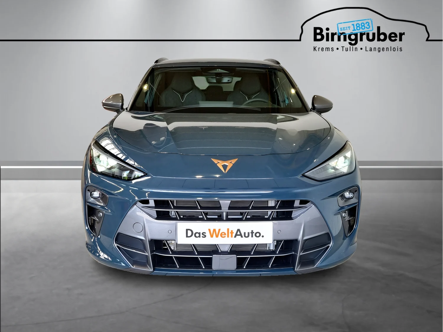 Bild eines Terramar e-HYBRID 204 PS DSG
