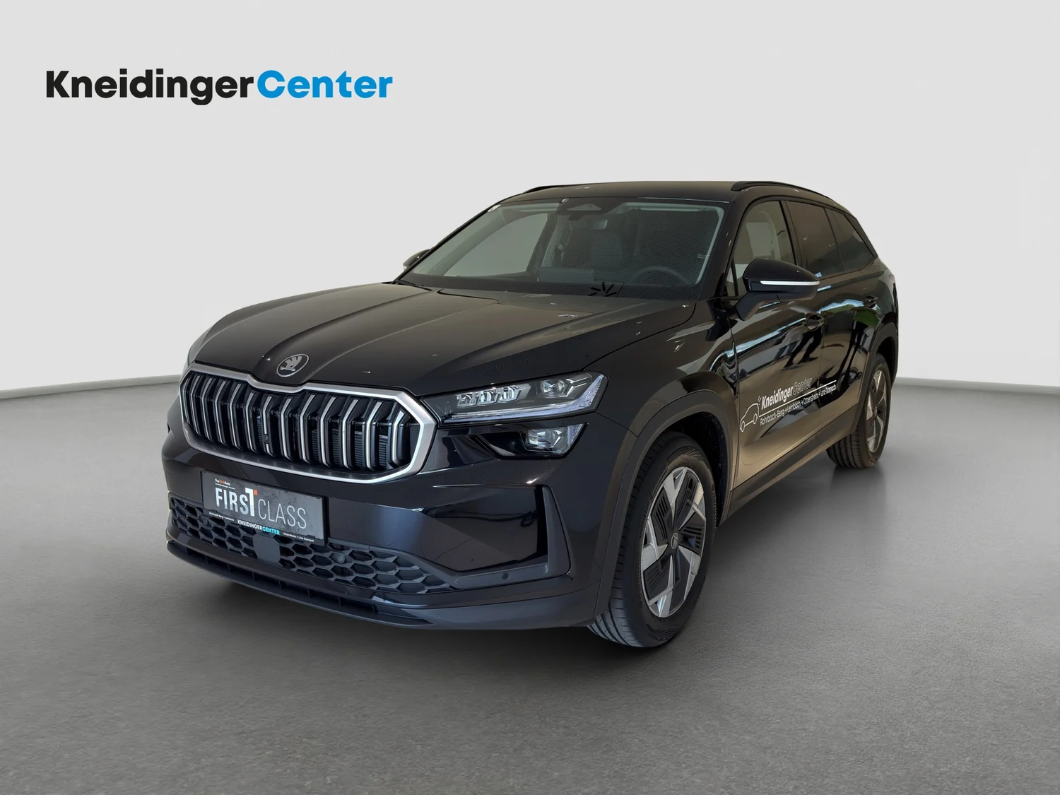 Bild eines Kodiaq Selection TDI DSG