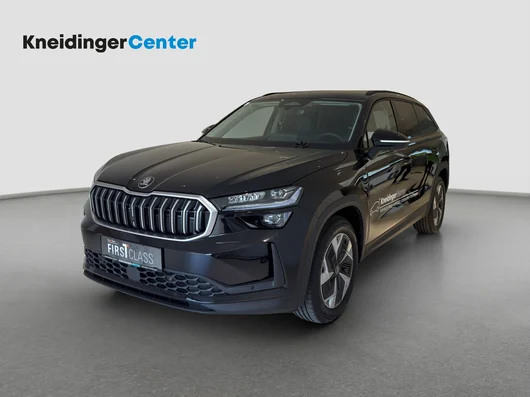 Bild eines Kodiaq Selection TDI DSG