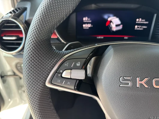 Bild eines Fabia Monte Carlo TSI DSG