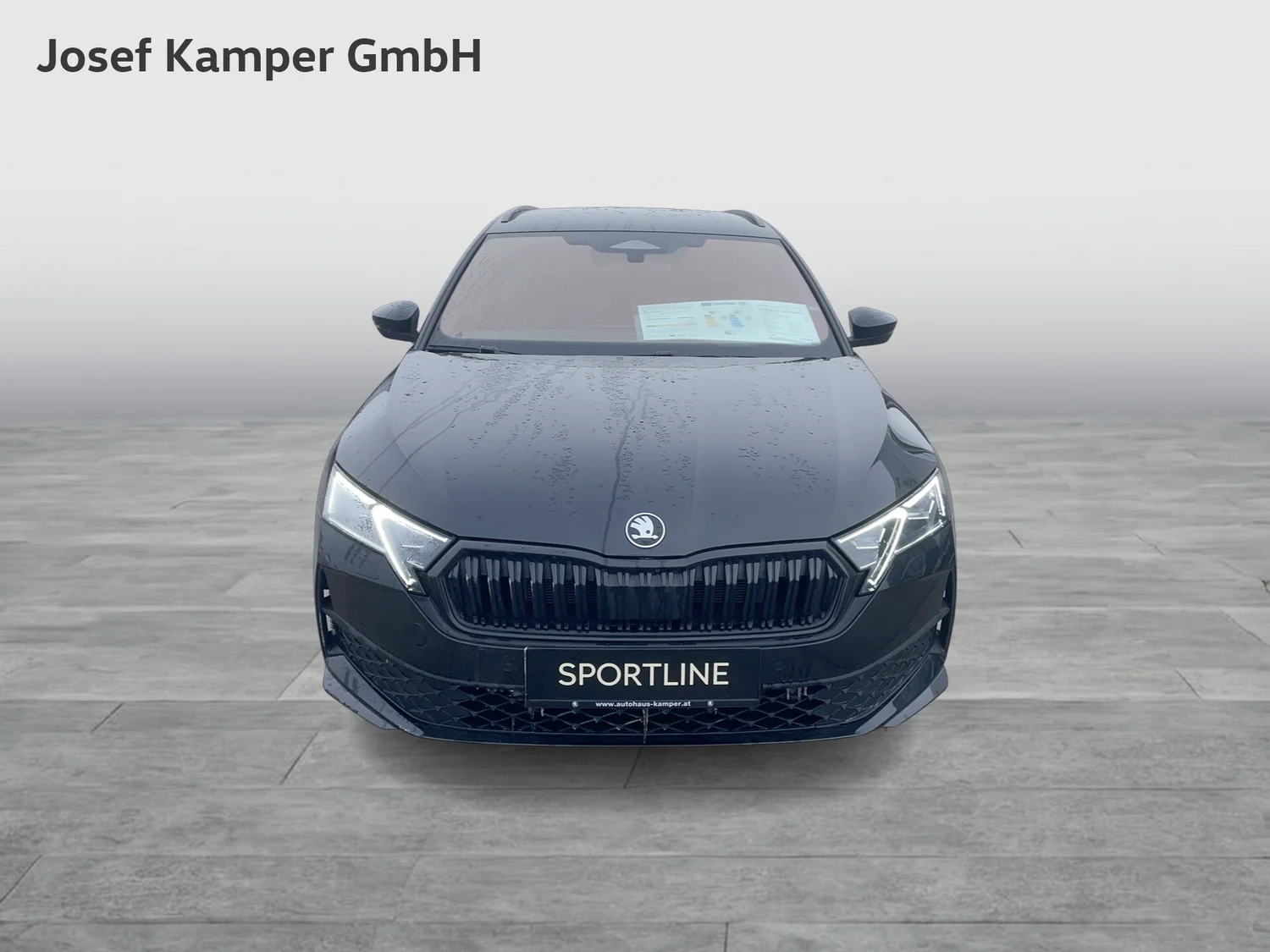Bild eines Octavia Combi Sportline TDI DSG