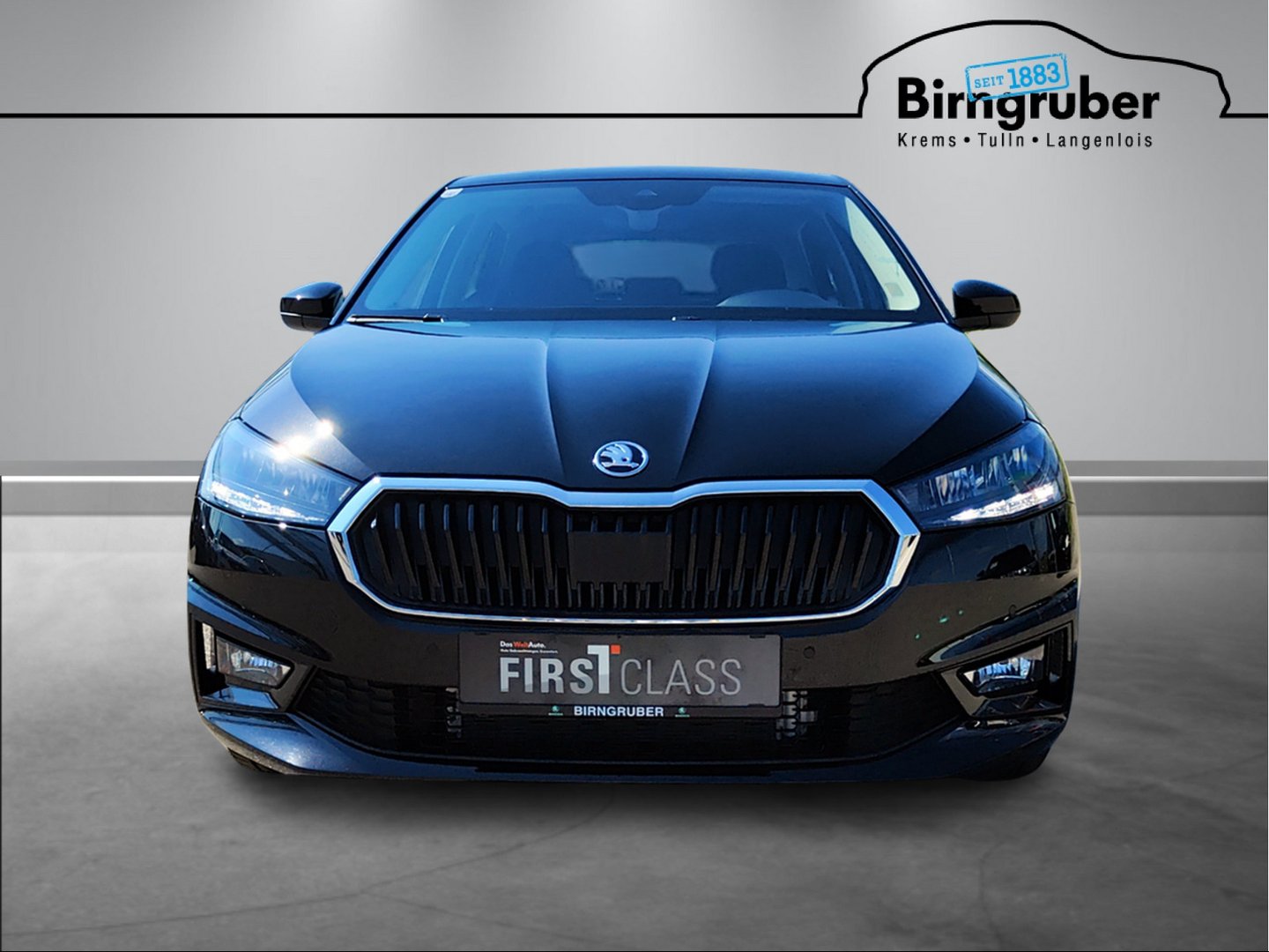 Fahrzeug Vorschaubild