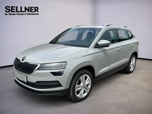 Škoda Karoq Style SC TSI in Stahl-Grau