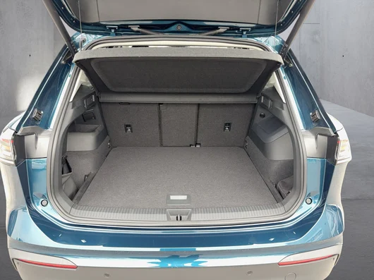 Bild eines VW Tiguan Friends eTSI DSG