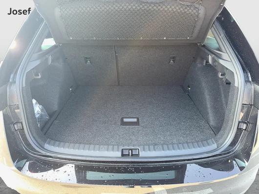 Bild eines Scala Monte Carlo TSI DSG