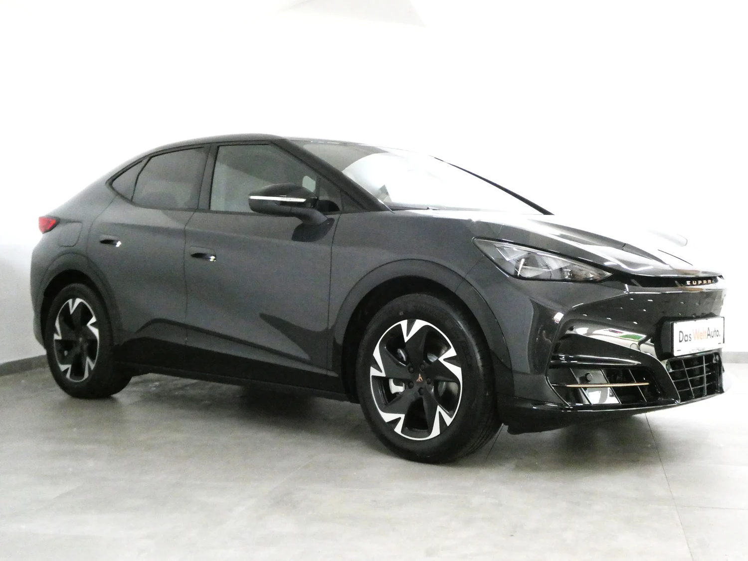 Bild eines Tavascan 210kW/286PS