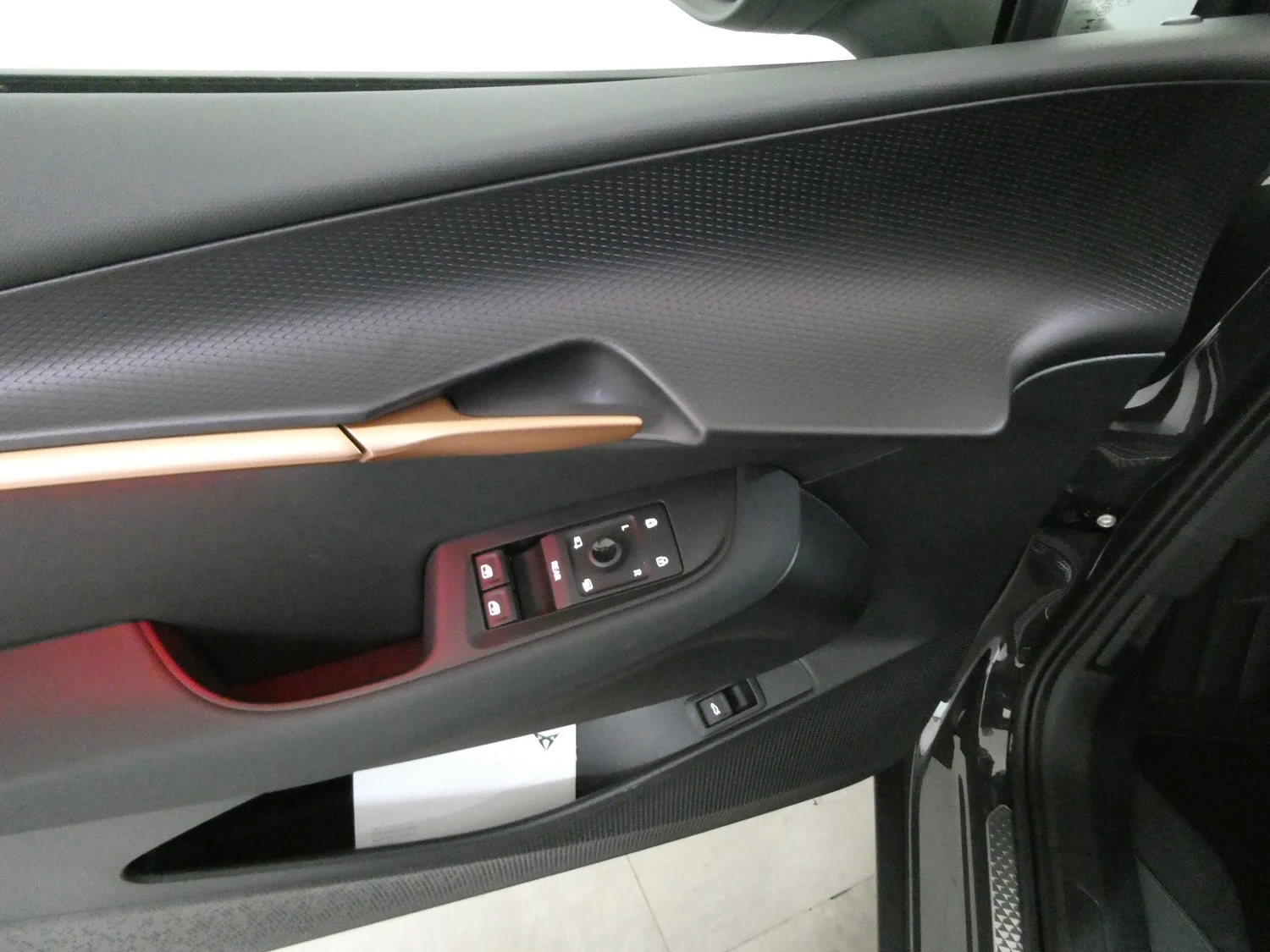 Bild eines Tavascan 210kW/286PS