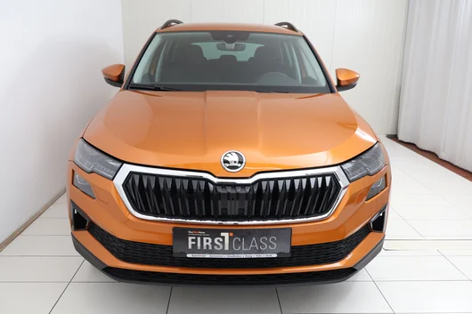 Bild eines Karoq Selection TDI