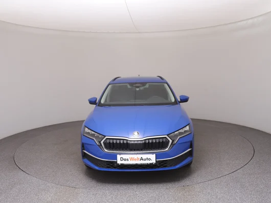 Bild eines Škoda Octavia Combi Selection TDI