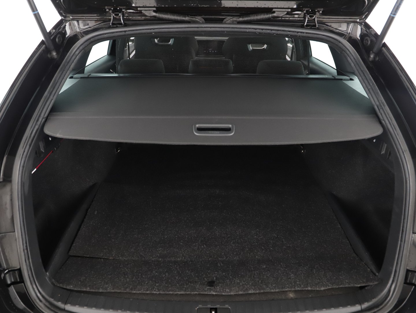 Škoda OCTAVIA Combi RS iV 245 DSG | Bild 12 von 14