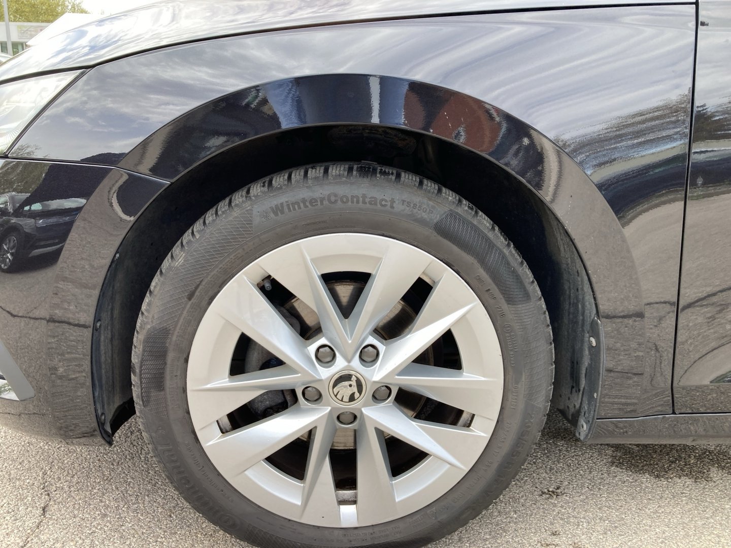 Škoda OCTAVIA Combi Premium TSI ACT | Bild 14 von 14
