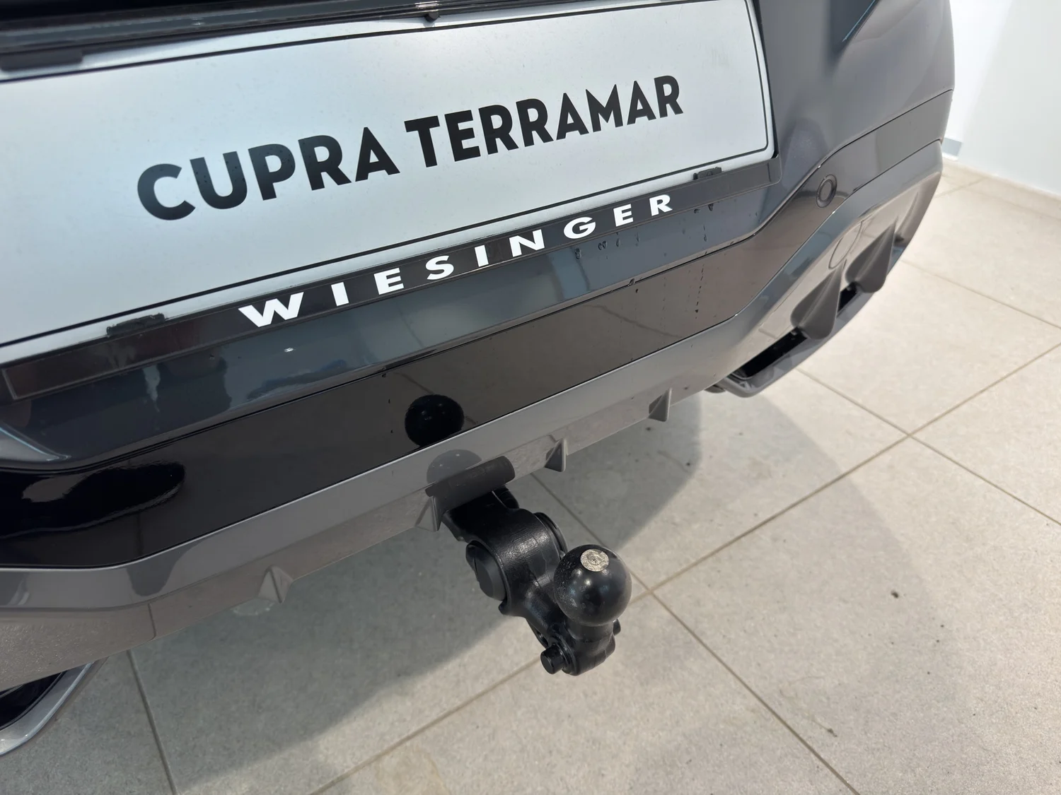 Bild eines Terramar 1.5 e-TSI 150 PS DSG