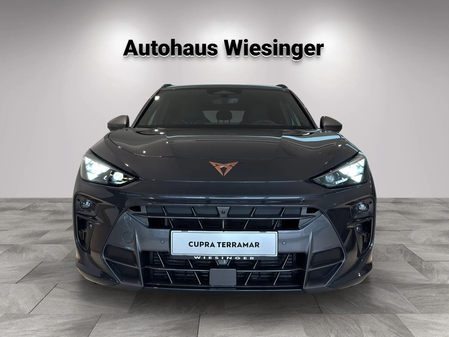 Bild eines Terramar 1.5 e-TSI 150 PS DSG