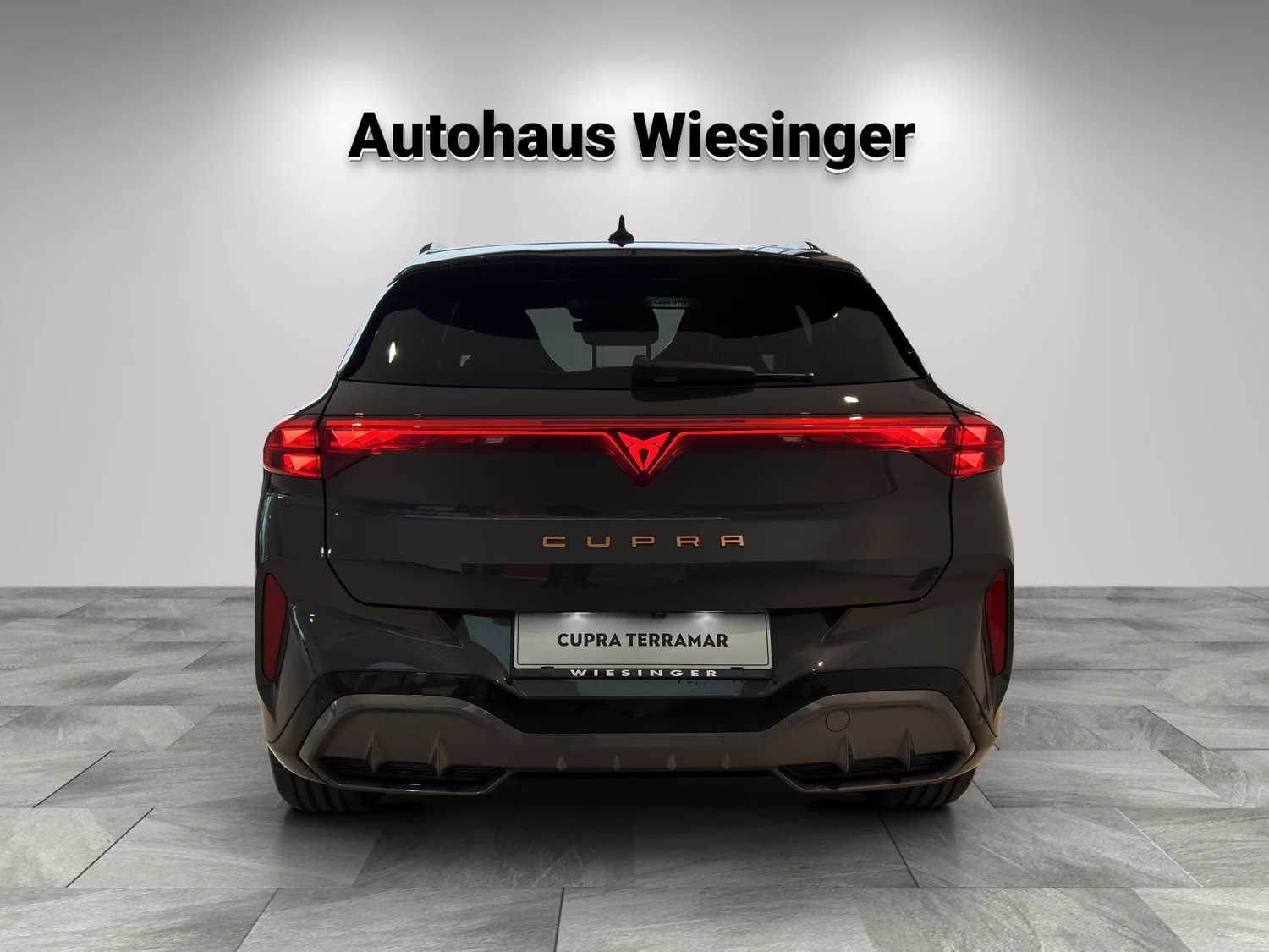 Bild eines Terramar 1.5 e-TSI 150 PS DSG