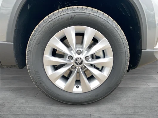 Bild eines Karoq 4x4 Selection TDI DSG