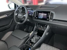 Škoda Karoq 4x4 Selection TDI DSG in Graphit-Grau Metallic