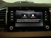 Škoda Karoq 4x4 Selection TDI DSG in Graphit-Grau Metallic