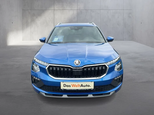 Bild eines Škoda Kamiq Selection TSI DSG