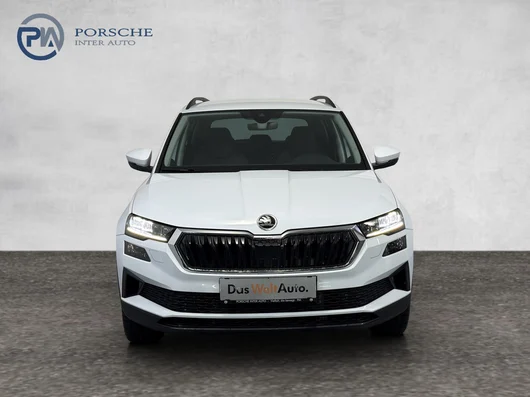 Bild eines Škoda Karoq Selection TDI DSG