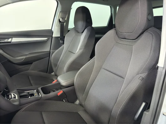 Bild eines Škoda Karoq Selection TDI DSG