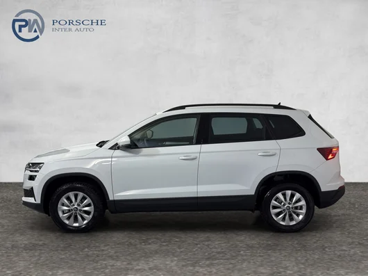 Bild eines Škoda Karoq Selection TDI DSG