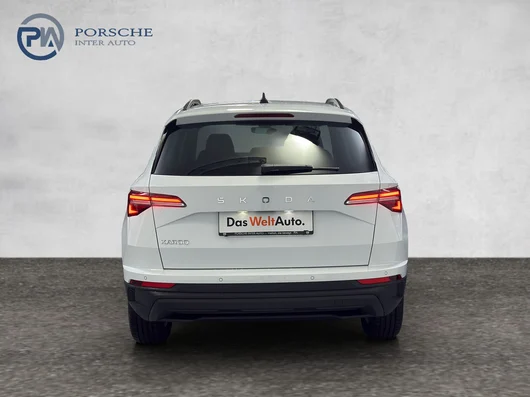 Bild eines Škoda Karoq Selection TDI DSG
