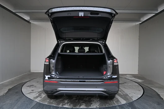 Bild eines Tayron Friends eHybrid DSG 150kW